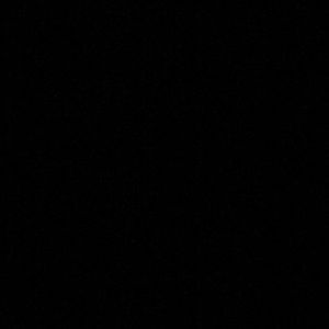 Meet your Posher, Dorothy